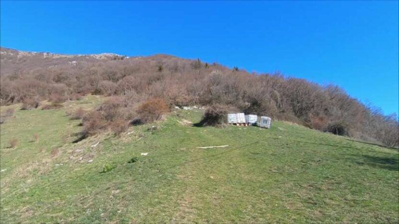Monte Bronzone da Lerano