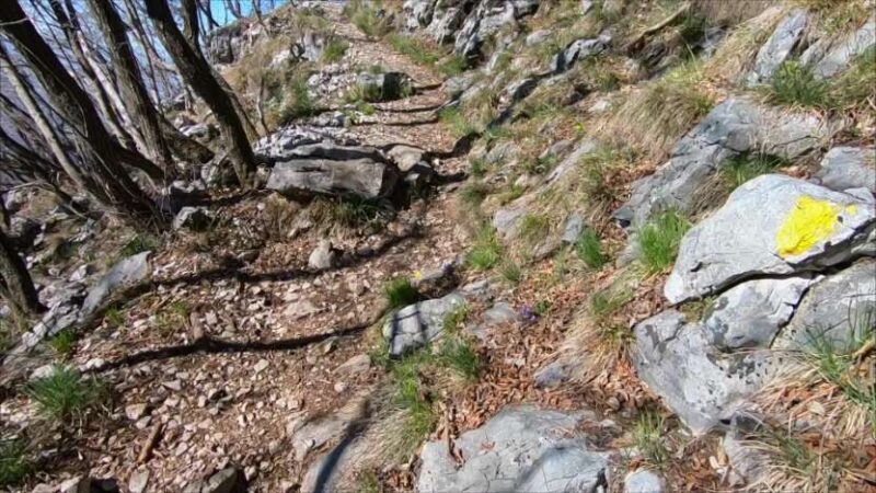 Monte Bronzone da Lerano