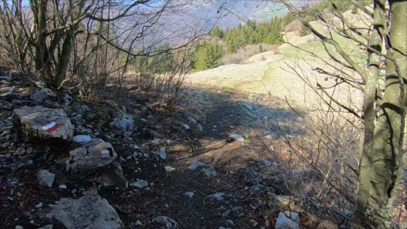 Monte Bronzone da Lerano