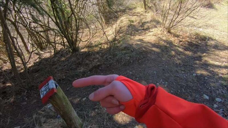 Monte Bronzone da Lerano
