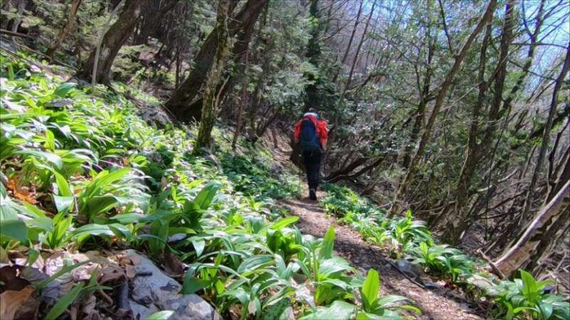 Monte Bronzone da Lerano