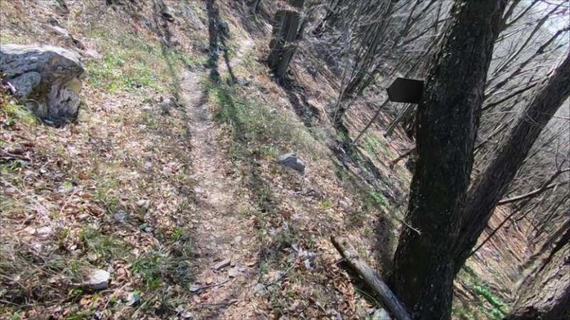 Monte Bronzone da Lerano
