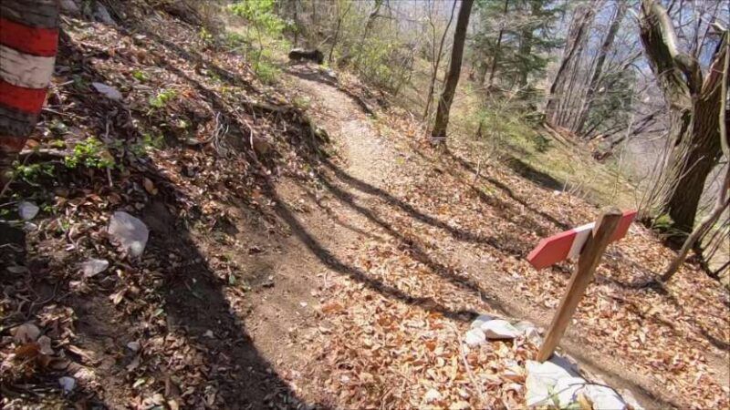 Monte Bronzone da Lerano