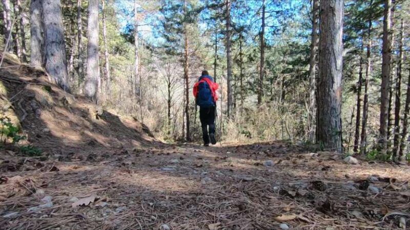 Monte Bronzone da Lerano