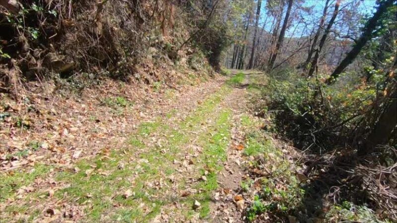 Monte Bronzone da Lerano