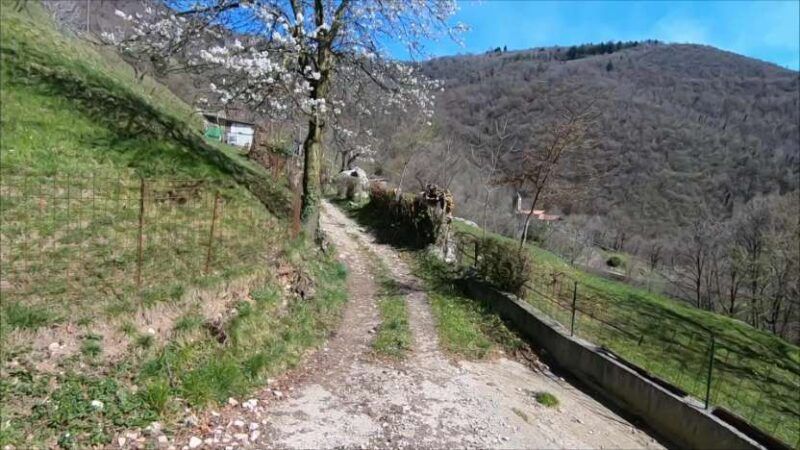 Monte Bronzone da Lerano
