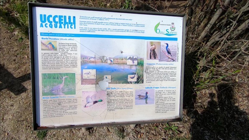 OASI Saletti a Nembro