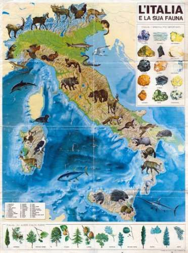 fauna italia