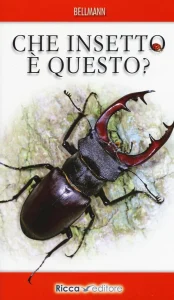 Copertina del libro Che insetto è questo?