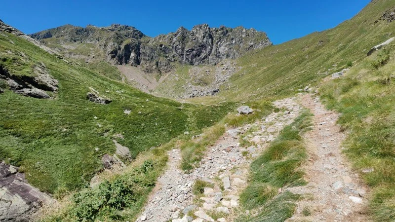 Rifugio Benigni da Cusio – Sentiero – foto 11