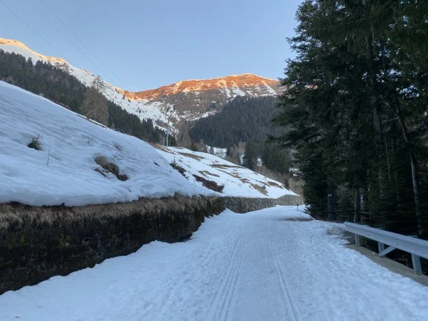 Strada innevata lungo il bosco al tramonto