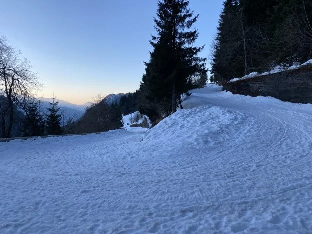 Strada innevata tra gli abeti