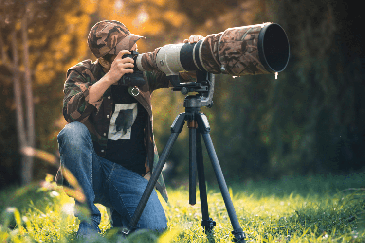 Come Fotografare gli animali selvatici