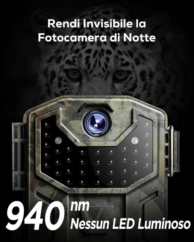 Le Migliori Fototrappole a meno di 50 Euro