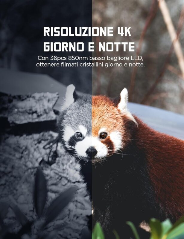 Le Migliori Fototrappole a meno di 50 Euro