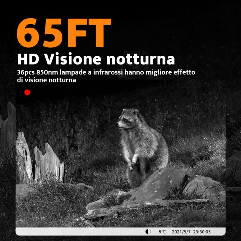 Le Migliori Fototrappole a meno di 50 Euro