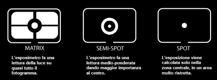 Come Fotografare gli animali selvatici