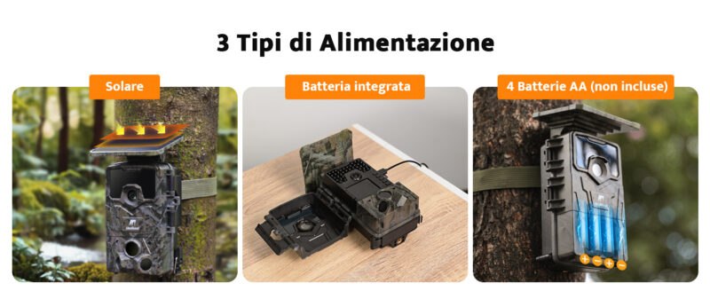 Le Migliori Fototrappole a meno di 50 Euro