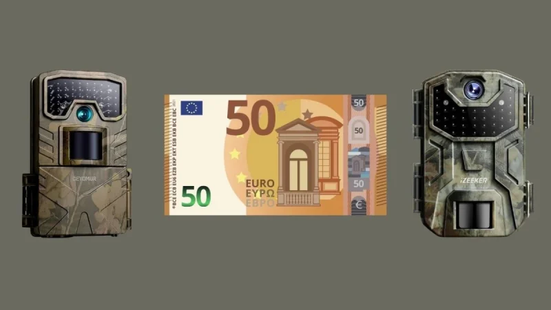 Le Migliori Fototrappole sotto i 50 Euro