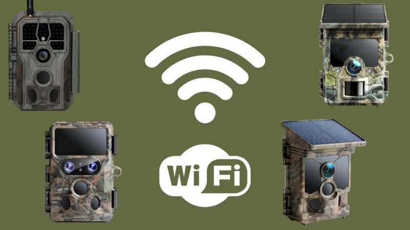 fototrappole wifi