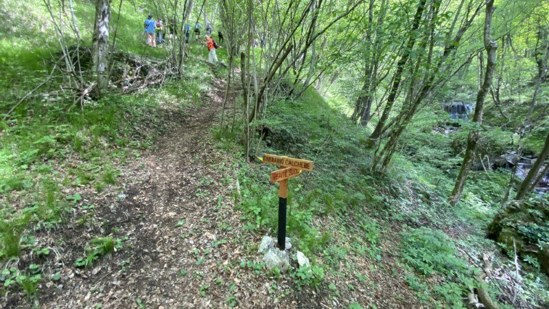 Sentiero delle Calchere in Val Brembilla