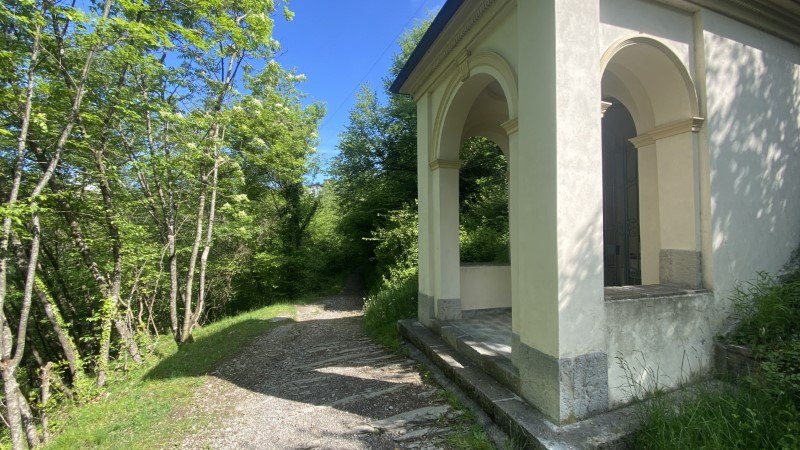I 2 Miragoli dalla Passata