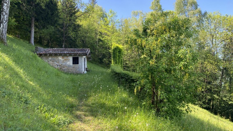 I 2 Miragoli dalla Passata