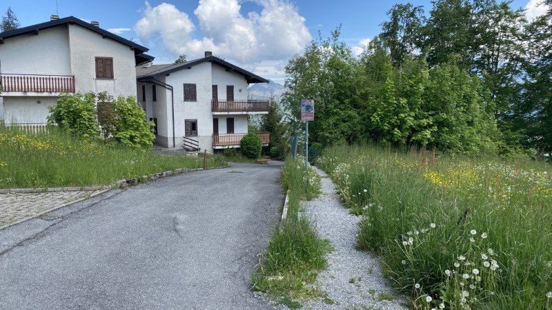 I 2 Miragoli dalla Passata