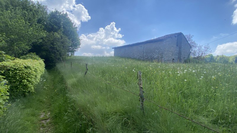 I 2 Miragoli dalla Passata
