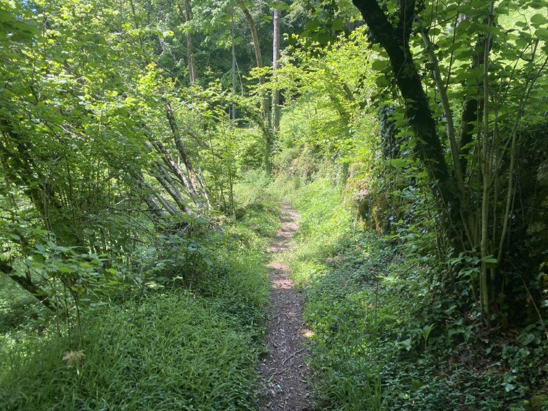 Cappella di Peta da Zorzone