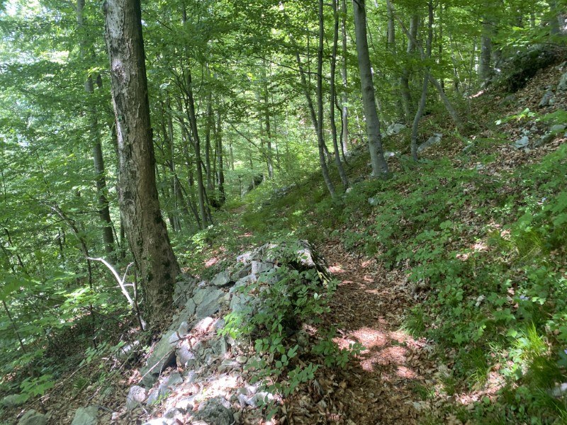 Cappella di Peta da Zorzone
