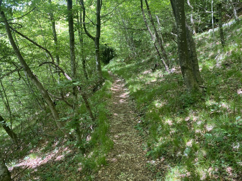 Cappella di Peta da Zorzone
