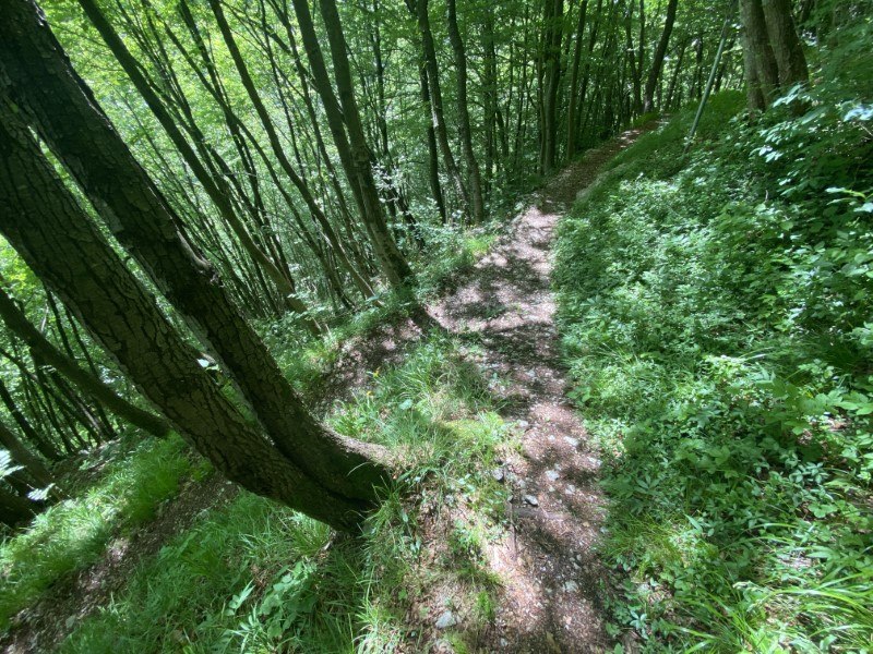 Cappella di Peta da Zorzone