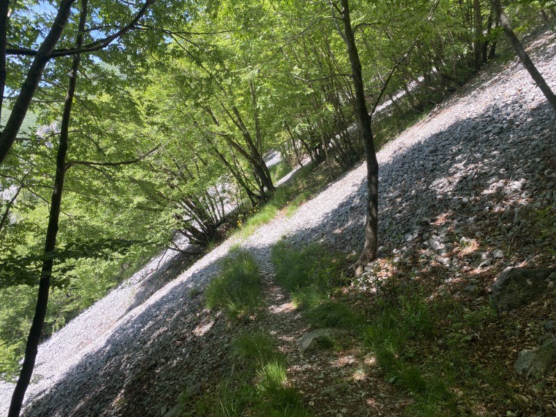Cappella di Peta da Zorzone