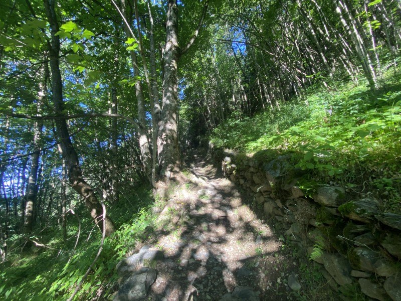 Sentiero "Carona a spasso nel tempo"