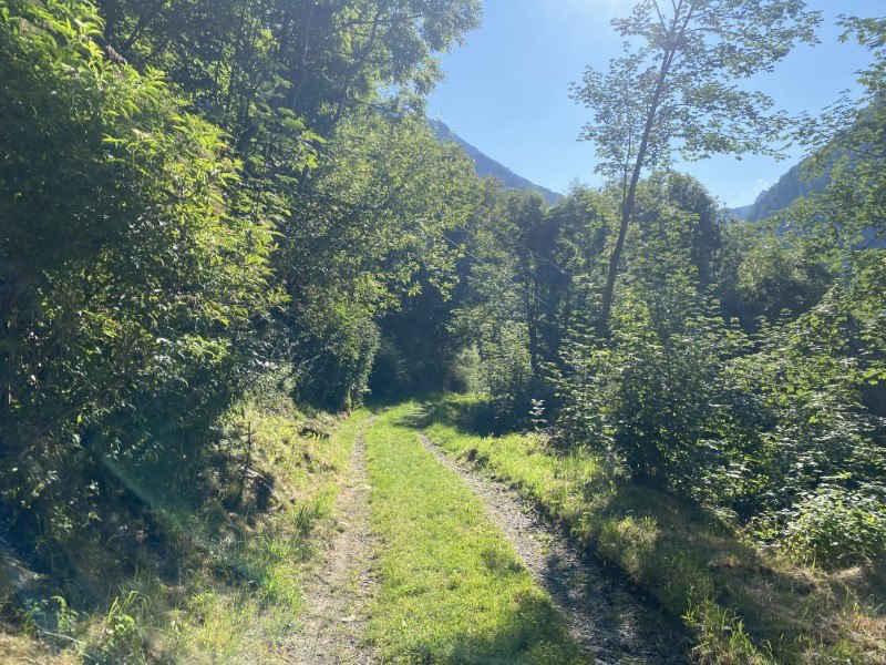 Sentiero "Carona a spasso nel tempo"