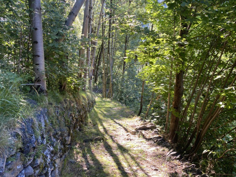 Sentiero "Carona a spasso nel tempo"