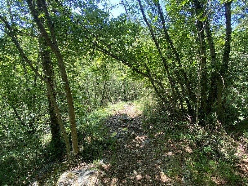 Pià da San Pellegrino Terme
