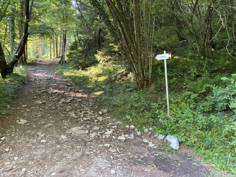 Il Becco di Dossena – Sentiero per il Becco – foto 8