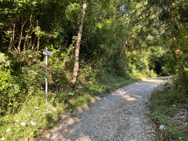 Il Becco di Dossena – Sentiero per il Becco – foto 13