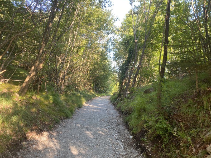 Il Becco di Dossena – Sentiero per il Becco – foto 17