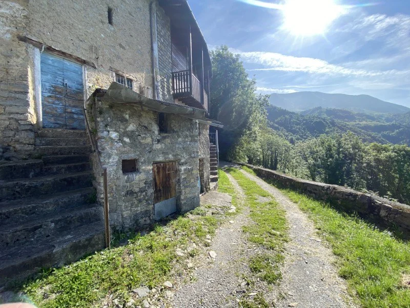 Anello Zorzone - Piani Bracca – Sentiero – foto 7