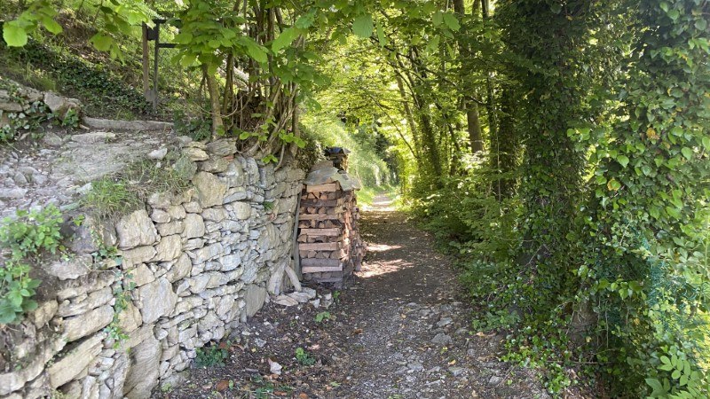 Anello Zorzone - Piani Bracca – Sentiero – foto 8