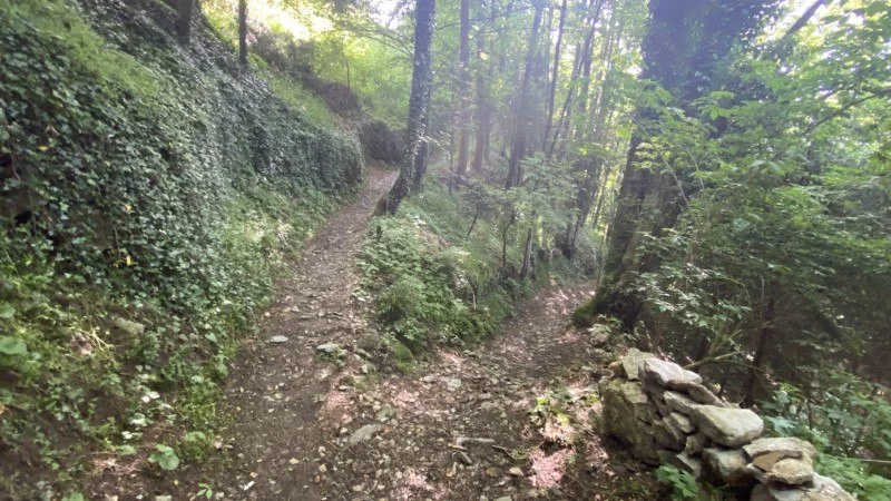 Anello Zorzone - Piani Bracca – Sentiero – foto 9
