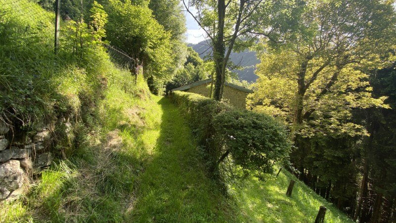 Anello Zorzone - Piani Bracca – Sentiero – foto 10