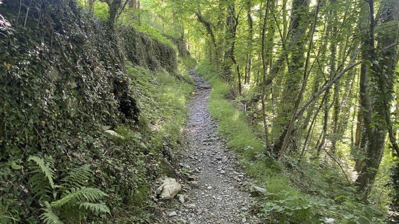 Anello Zorzone - Piani Bracca – Sentiero – foto 11