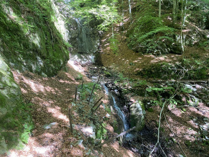 Anello Zorzone - Piani Bracca – Sentiero – foto 12