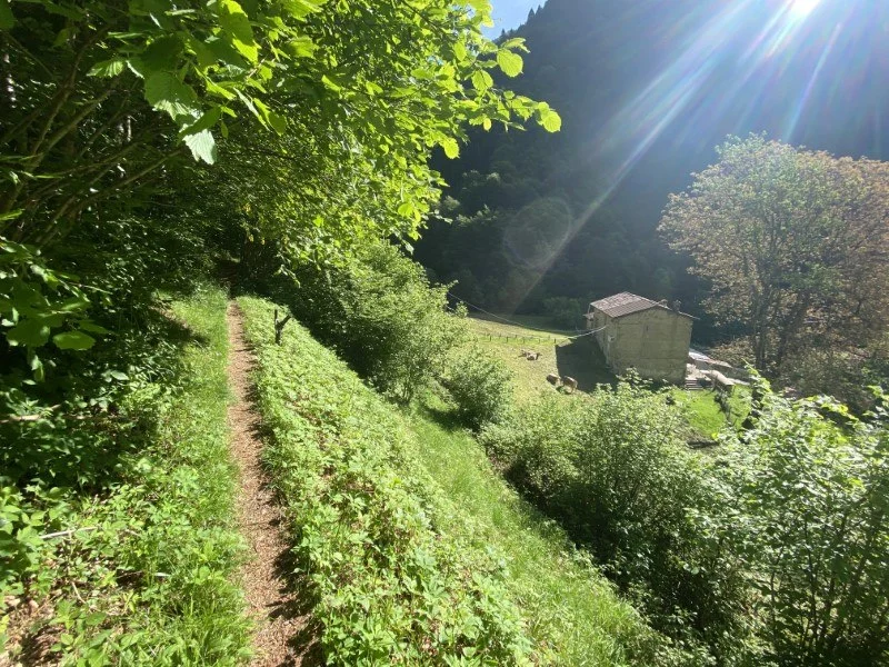 Anello Zorzone - Piani Bracca – Sentiero – foto 14