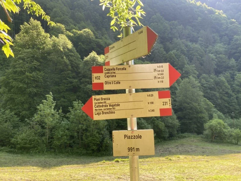 Anello Zorzone - Piani Bracca – Sentiero – foto 15