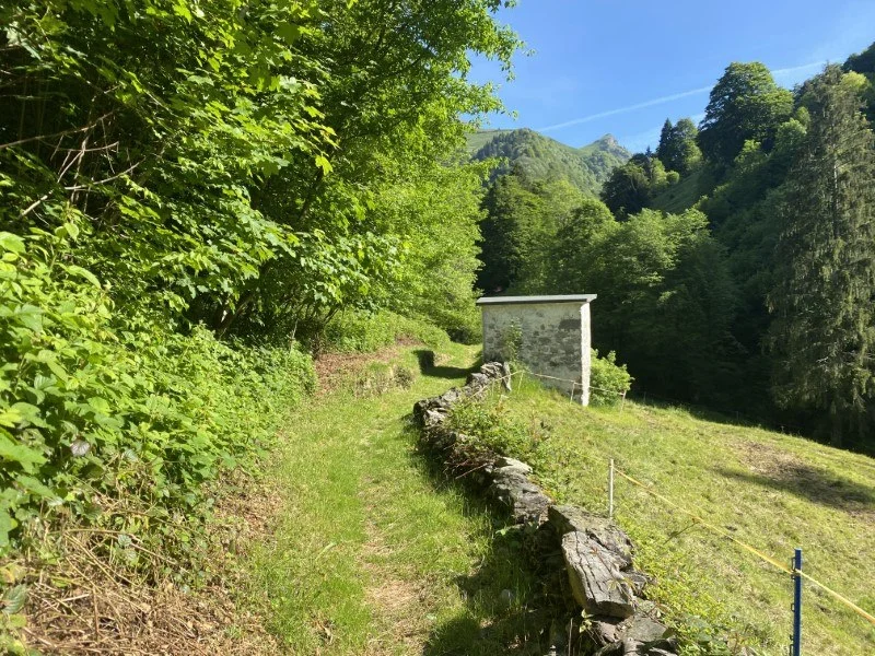 Anello Zorzone - Piani Bracca – Sentiero – foto 16